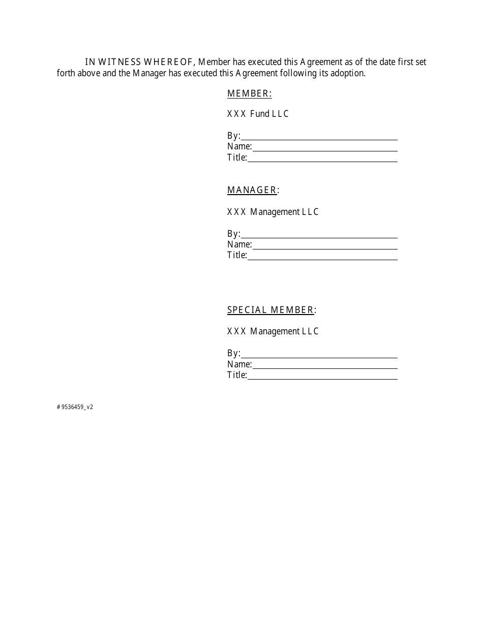 LLC Agreement Form - Delaware, Page 19