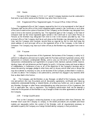 LLC Agreement Form - Delaware, Page 6