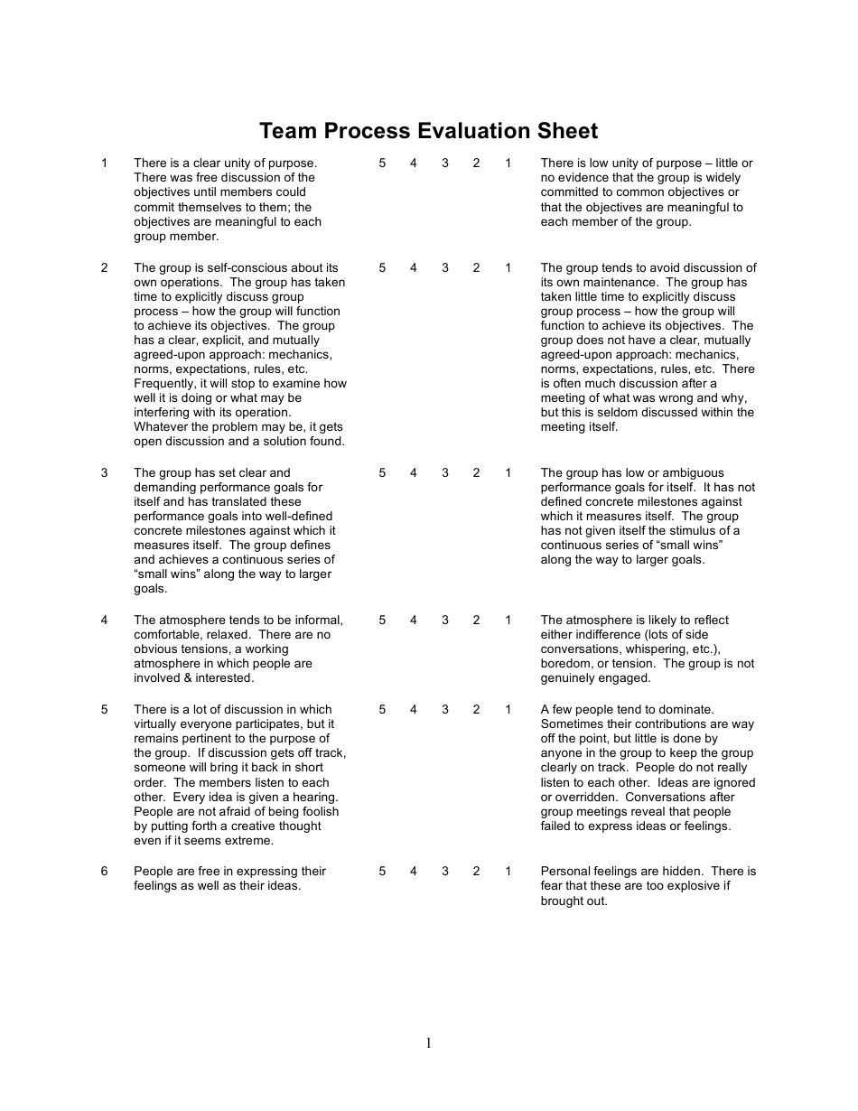 Team Process Evaluation Form, Page 1