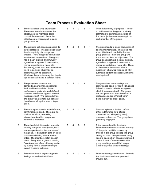 Team Process Evaluation Form