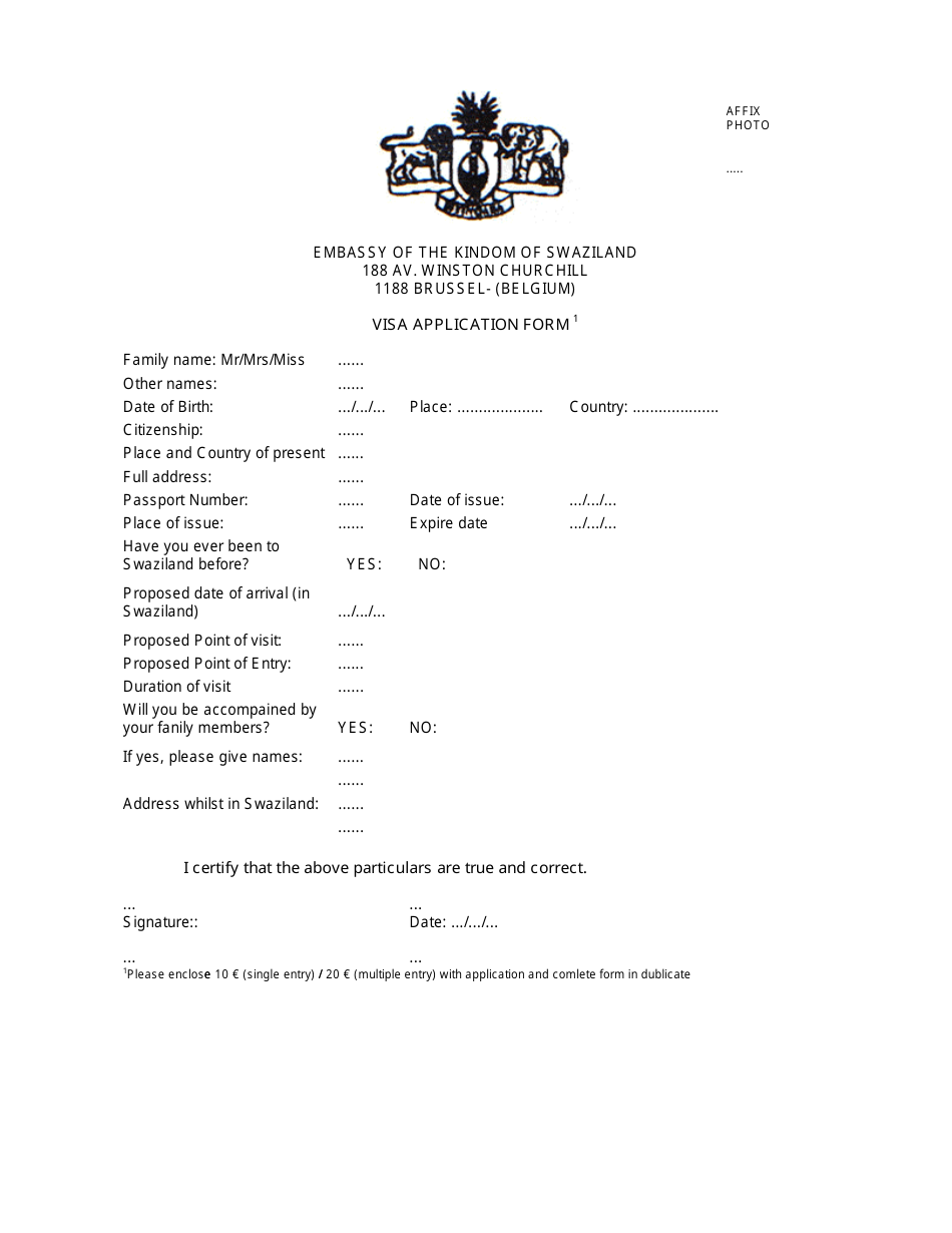 City Of Brussels Brussels Capital Region Belgium Swaziland Visa Application Form Embassy Of