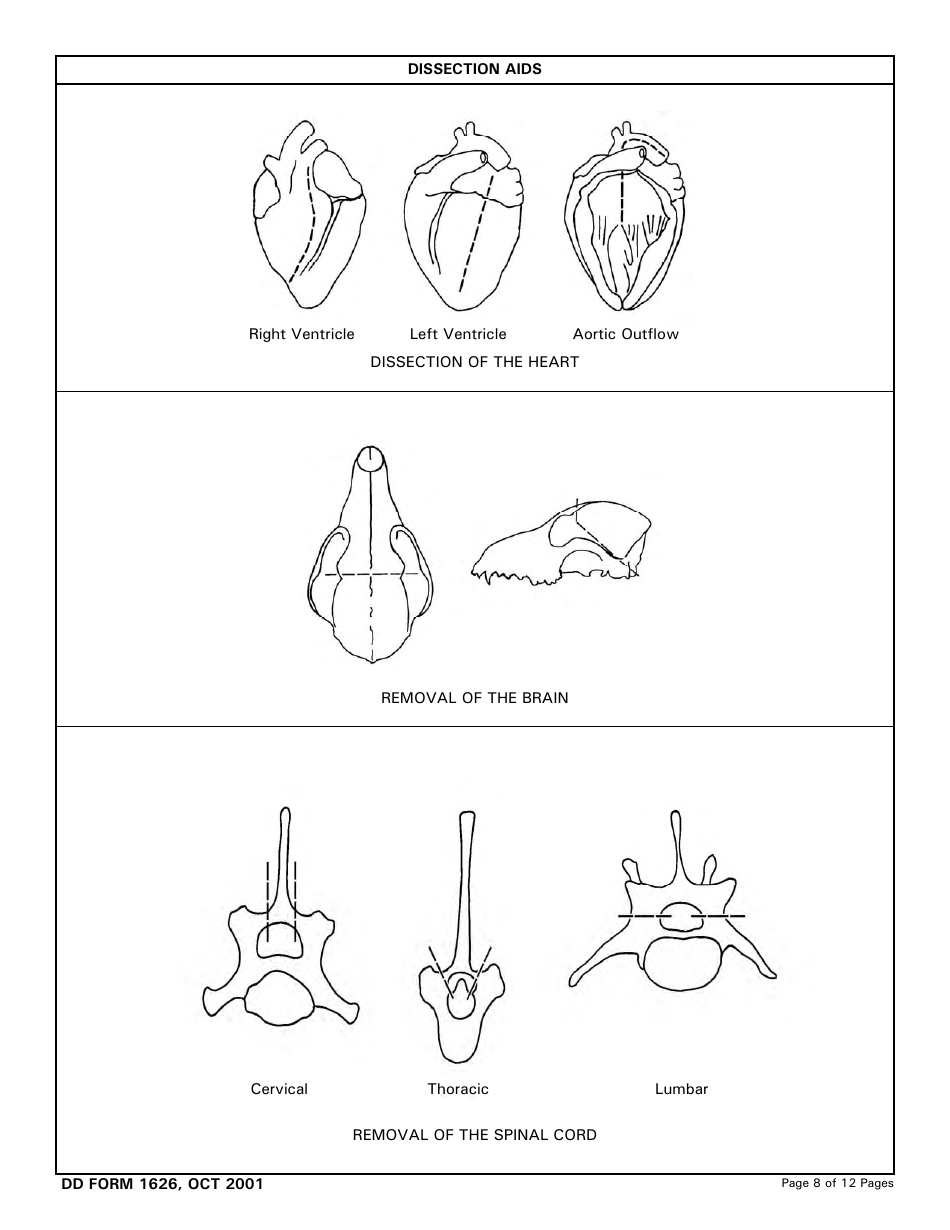 DD Form 1626 Veterinary Necropsy Report Checklist and Guidelines, Page 8