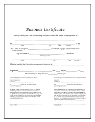 Document preview: Business Certificate - Cayuga County, New York