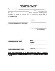Document preview: Non-marriage Certificate Form