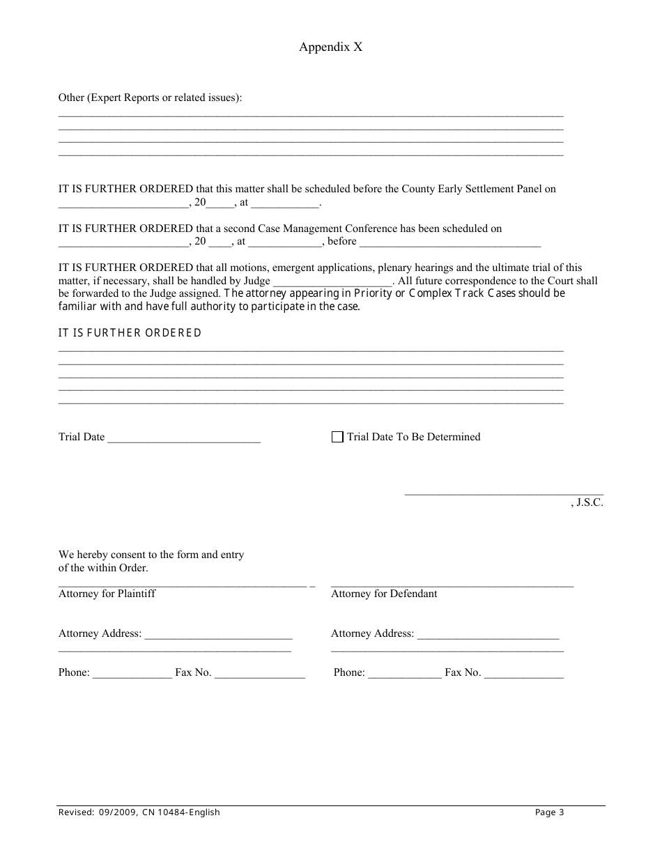 Form 10484 Appendix X Family Case Management Order - New Jersey, Page 3