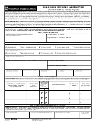 Document preview: VA Form 0730b Child Care Provider Information
