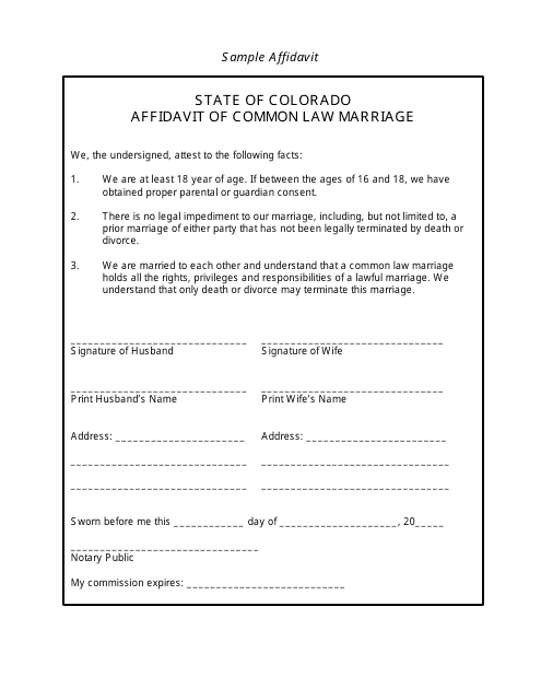 Affidavit of Common Law Marriage Template - Pitkin County, Colorado Download Pdf