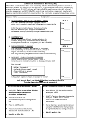 Abbreviated Mental Test (Amt) and Delirium Screening Form - Southern Nsw Lhd, Page 2