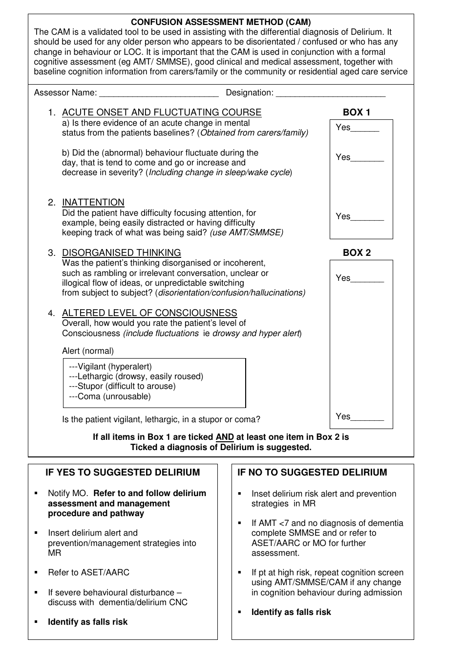 Abbreviated Mental Test (Amt) and Delirium Screening Form - Southern Nsw Lhd, Page 2