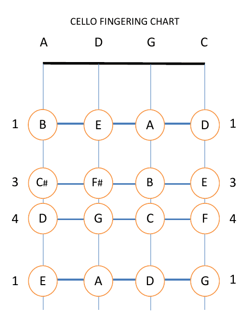 33 Cello Fretboard Diagram Wiring Diagram Info