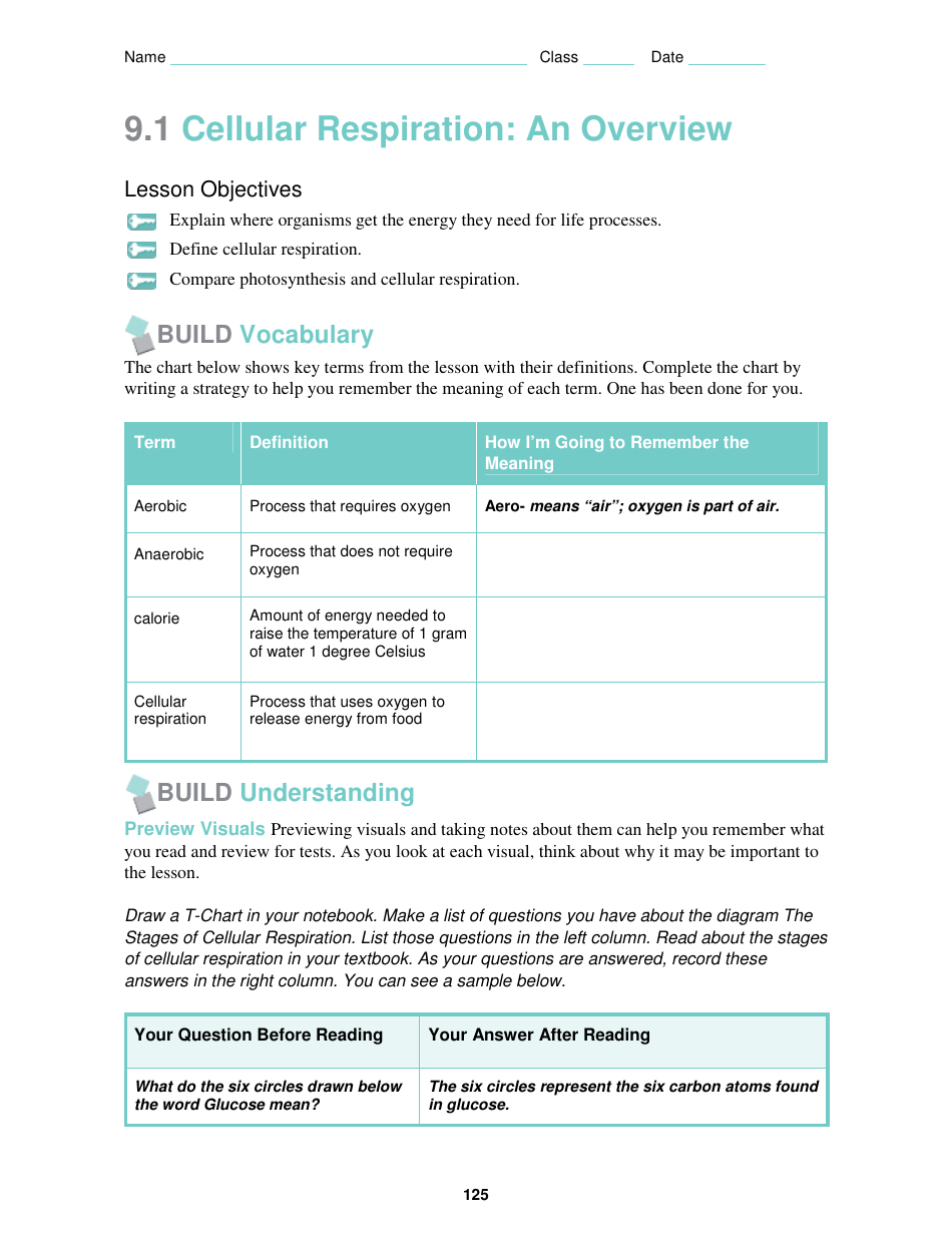 9 1 Cellular Respiration An Overview Download Printable Pdf Templateroller