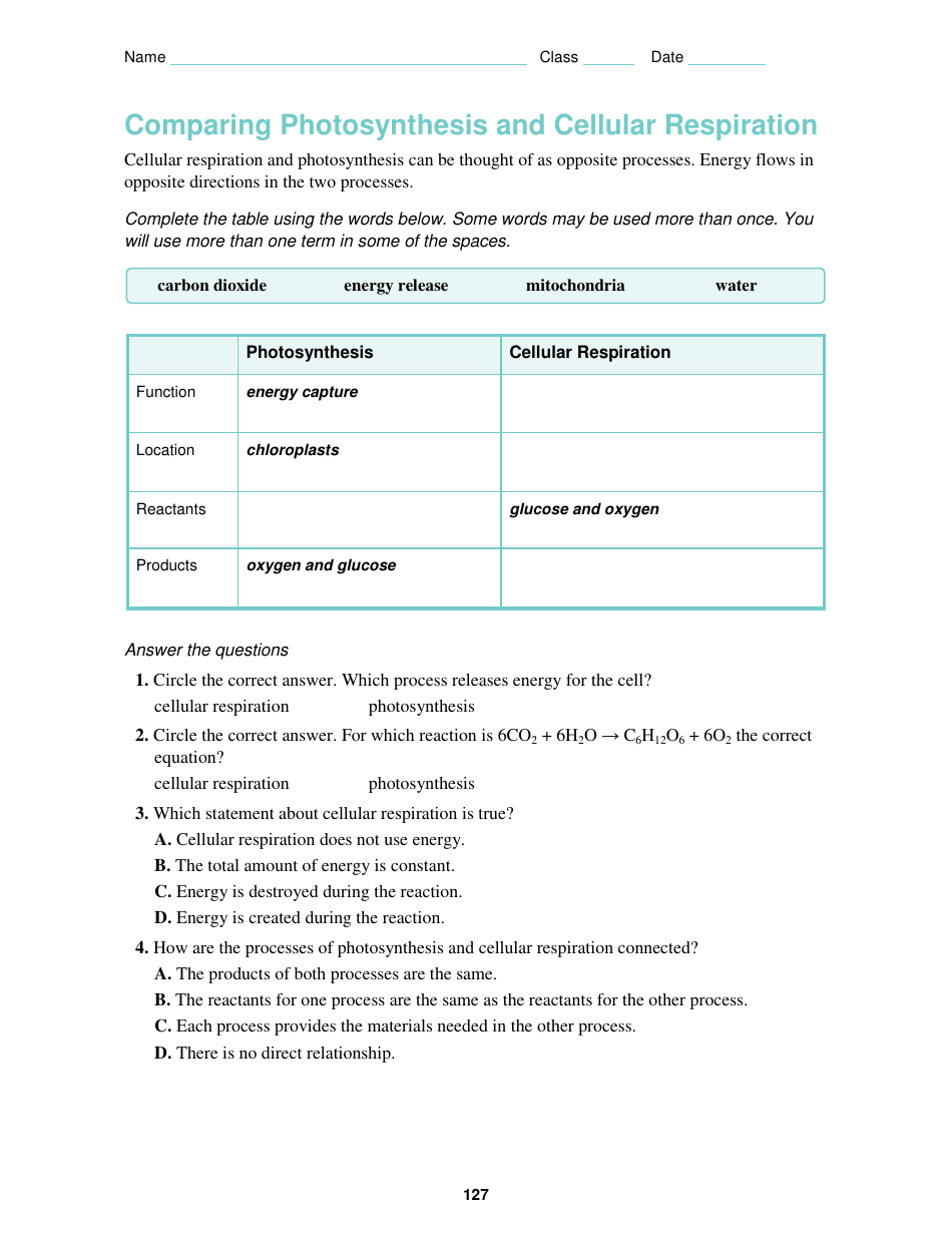 9.1 Cellular Respiration: an Overview, Page 3