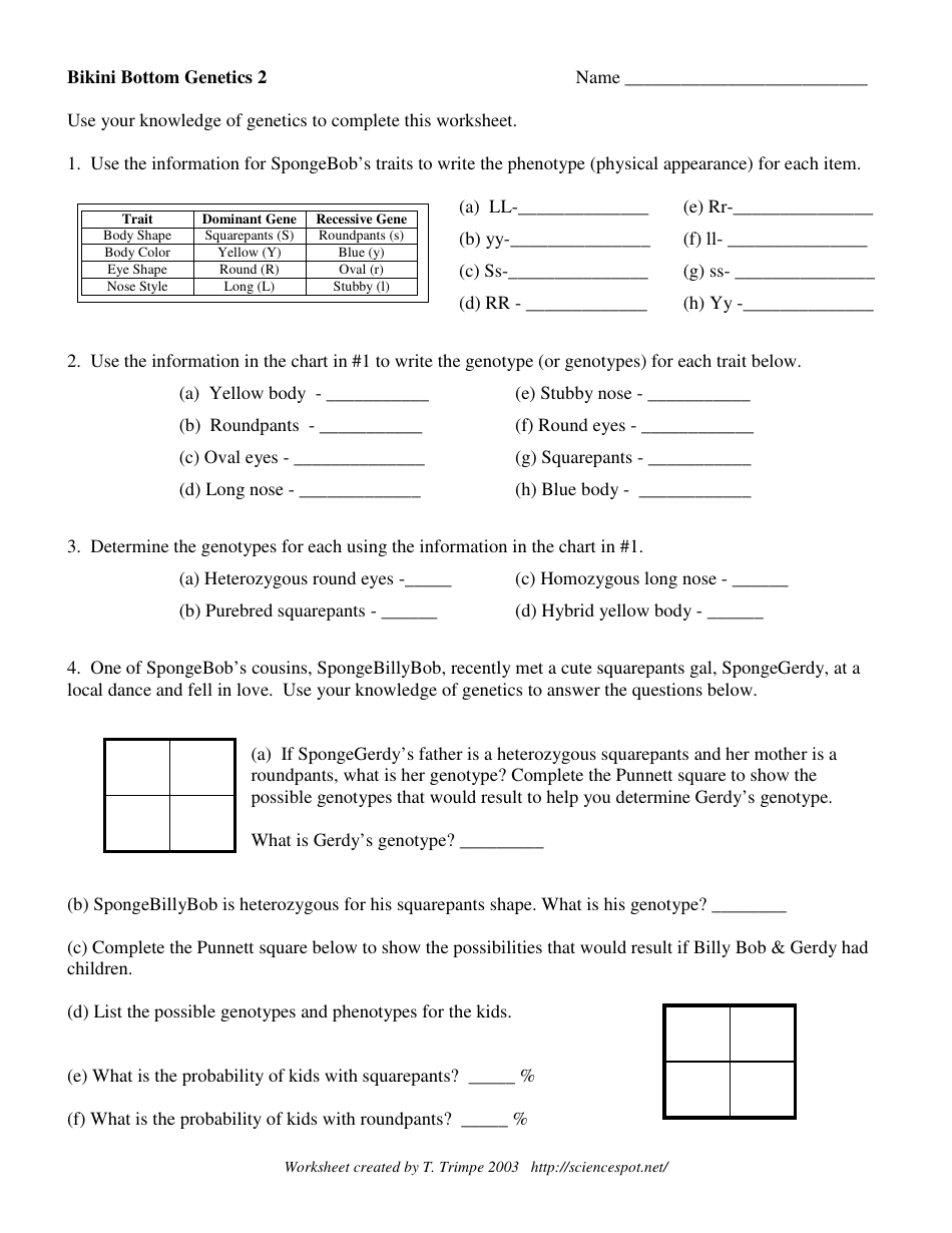 Bikini Bottom Genetics 2 Worksheet With Answers T Trimpe Download Printable PDF Templateroller