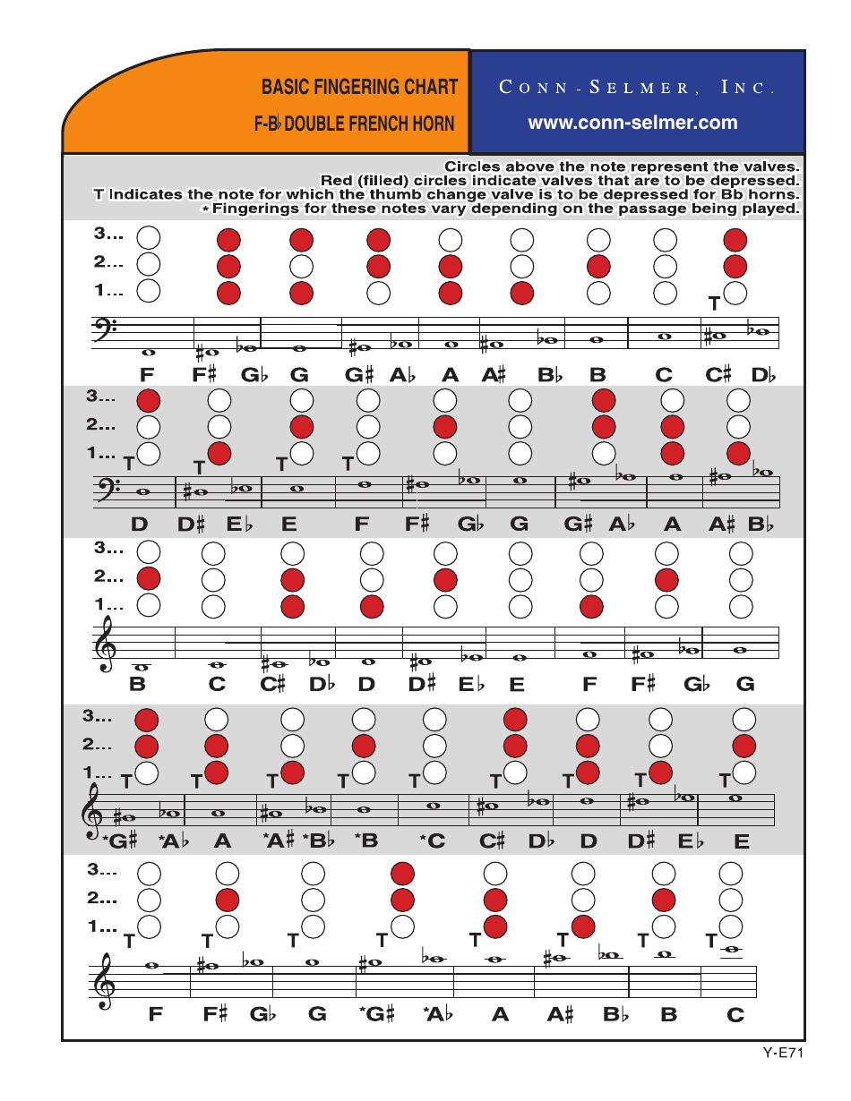F-B Double French Horn Basic Fingering Chart - Illustration showing the basic fingerings for F-B double French horn.
