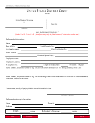 Document preview: Form AO100A Bail Information Sheet