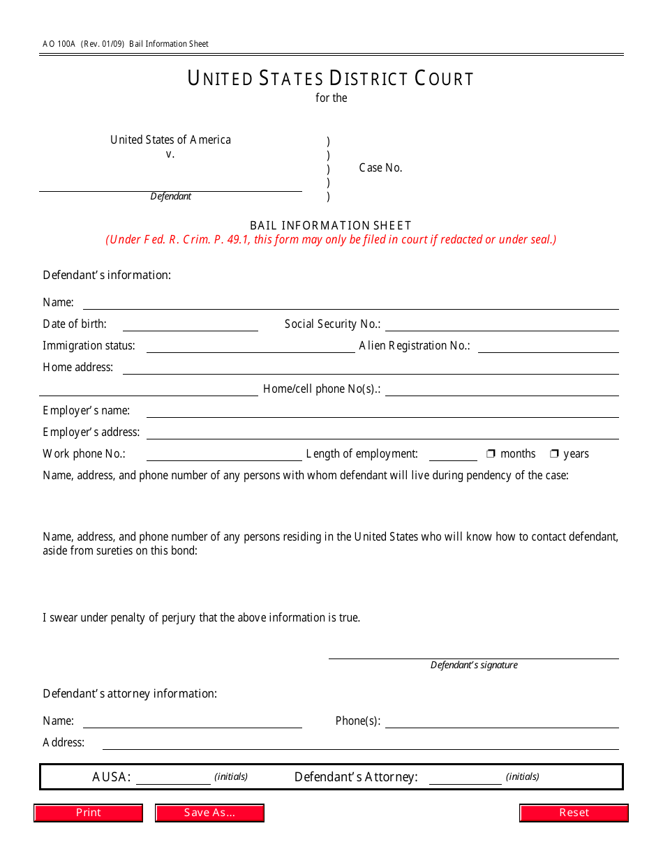 Form AO100A Bail Information Sheet, Page 1