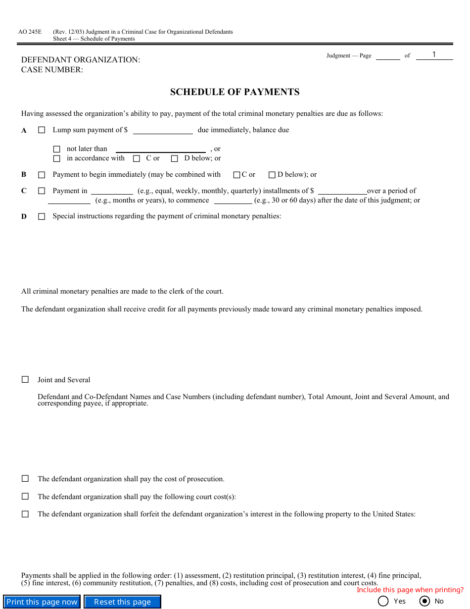 Form AO245E Judgment in a Criminal Case (For Organizational Defendants), Page 10