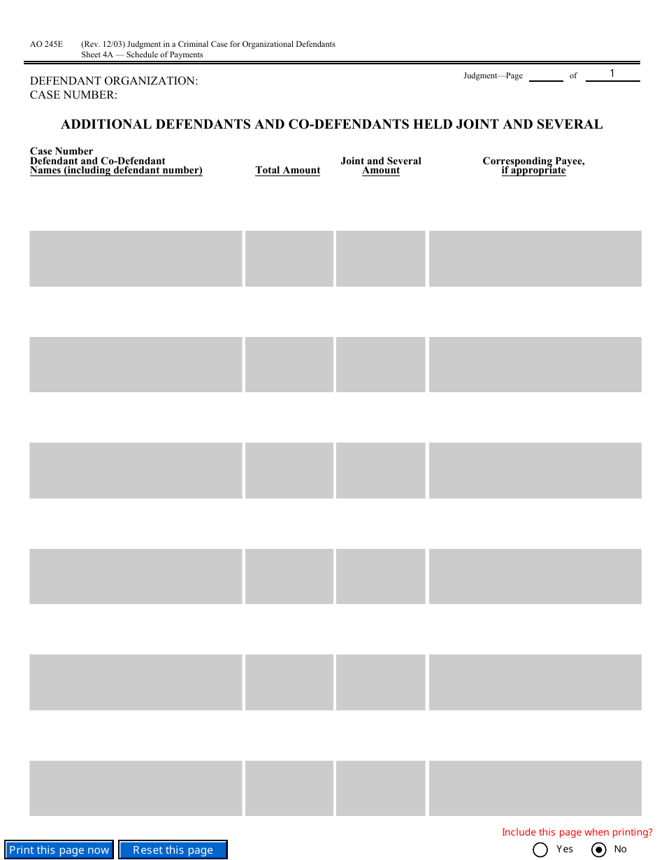 Form AO245E Judgment in a Criminal Case (For Organizational Defendants), Page 11