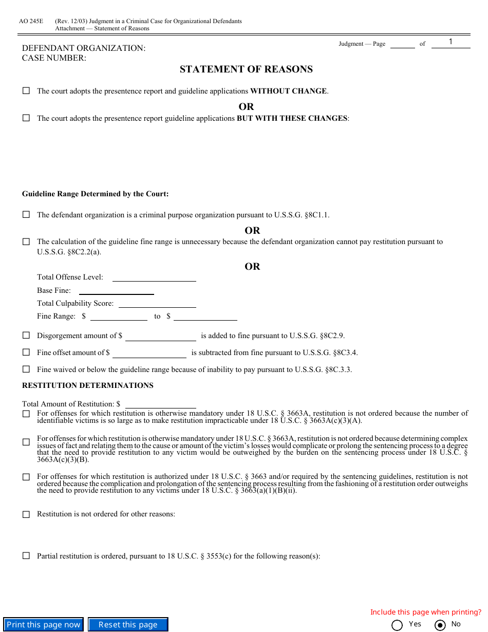 Form AO245E Judgment in a Criminal Case (For Organizational Defendants), Page 13