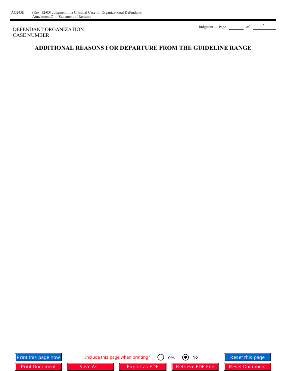 Form AO245E Judgment in a Criminal Case (For Organizational Defendants), Page 16