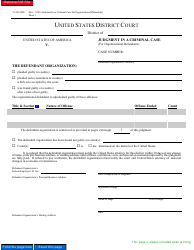 Form AO245E Judgment in a Criminal Case (For Organizational Defendants)