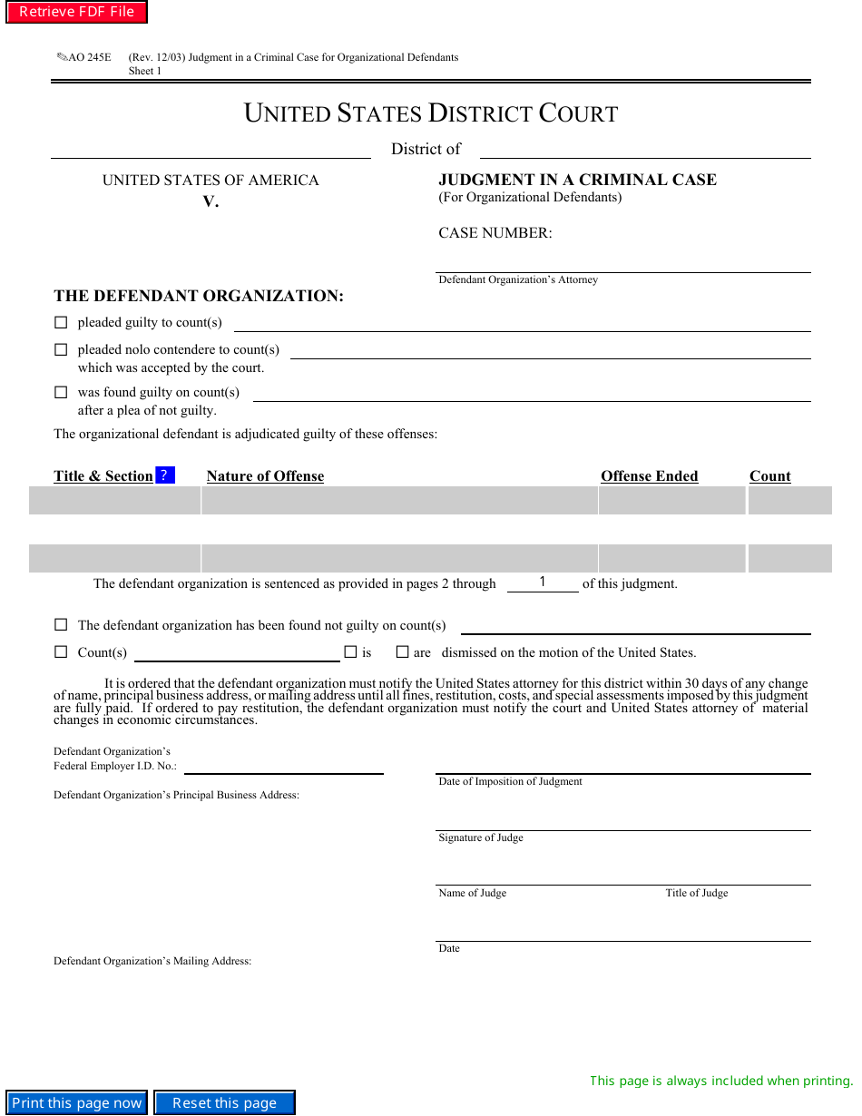Form AO245E Judgment in a Criminal Case (For Organizational Defendants), Page 1
