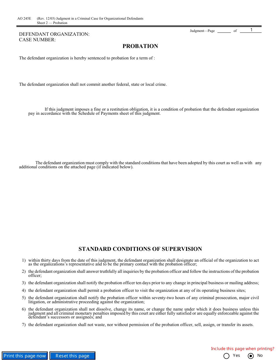 Form AO245E Judgment in a Criminal Case (For Organizational Defendants), Page 3