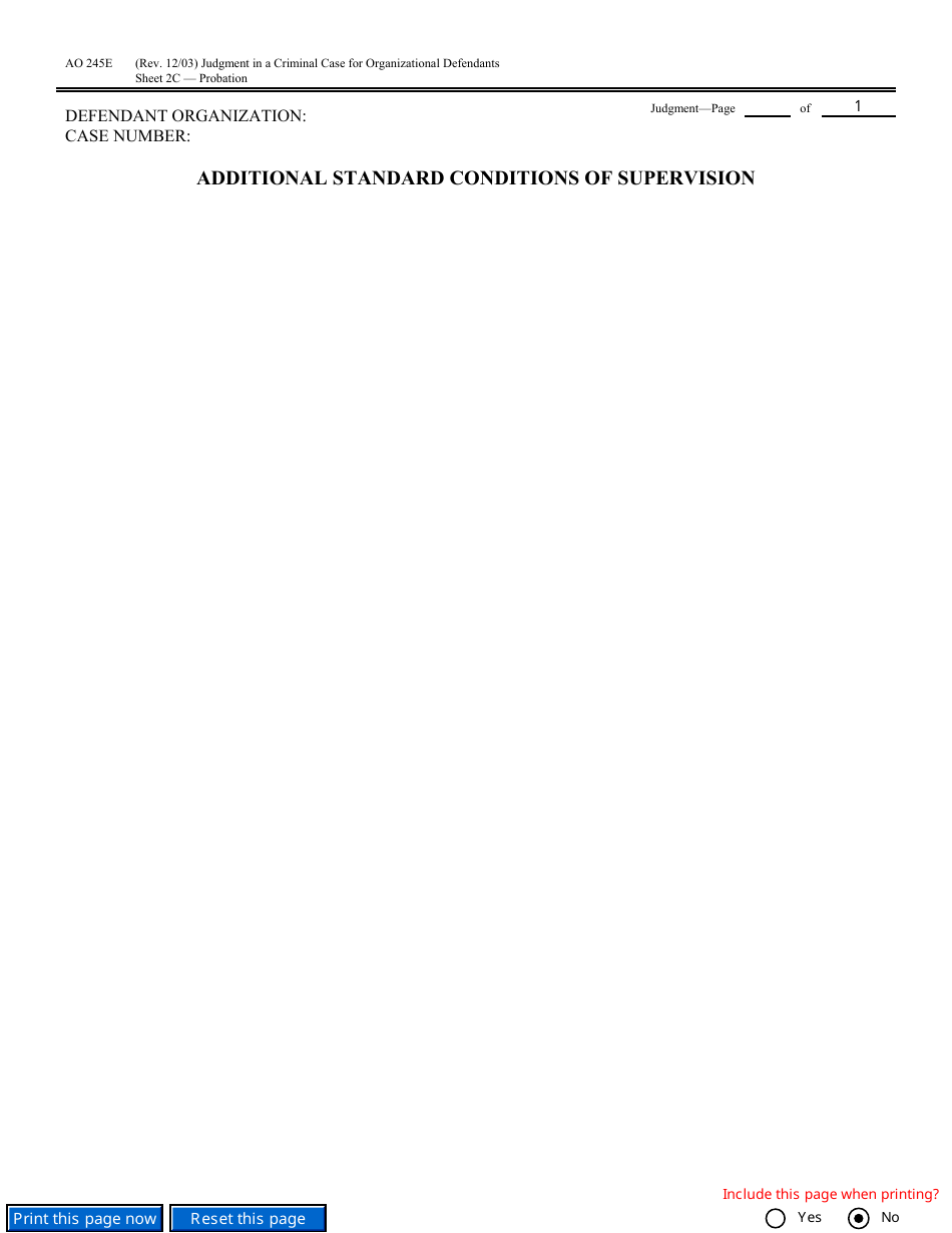 Form AO245E Judgment in a Criminal Case (For Organizational Defendants), Page 6