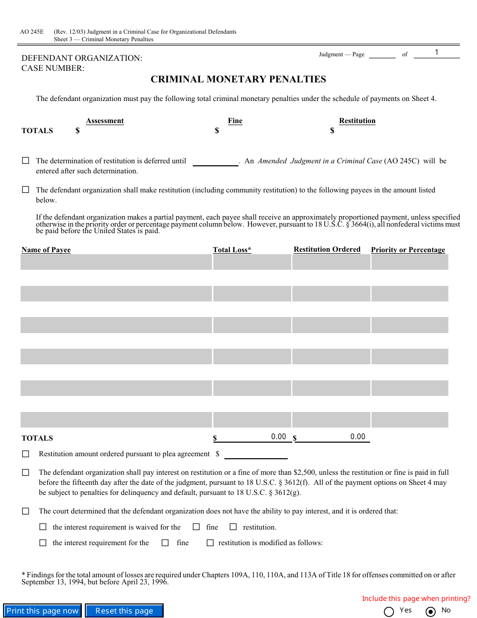 Form AO245E Judgment in a Criminal Case (For Organizational Defendants), Page 7
