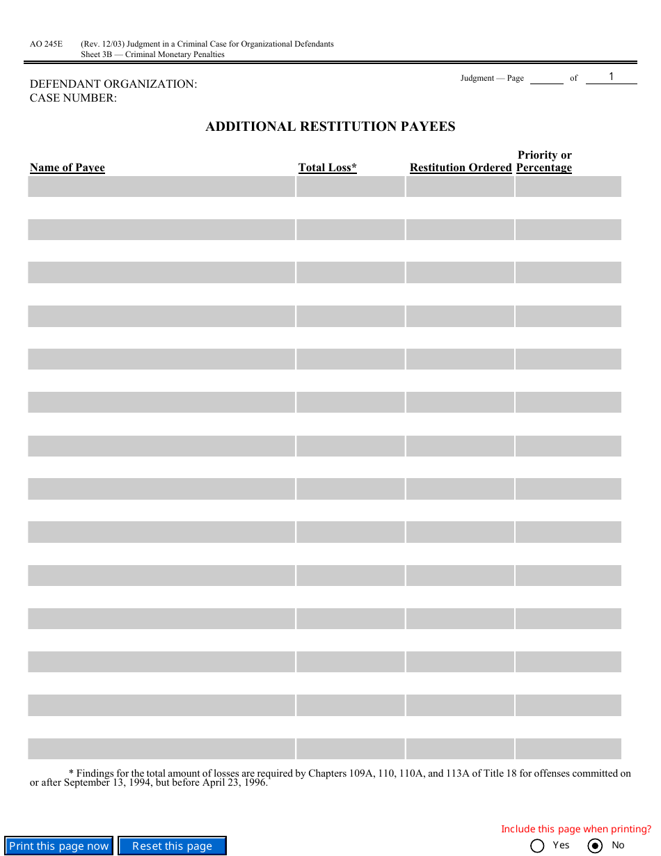 Form AO245E Judgment in a Criminal Case (For Organizational Defendants), Page 9